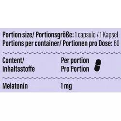 GoFitness Sleep (60 Caps), 1mg - trainings-booster.de