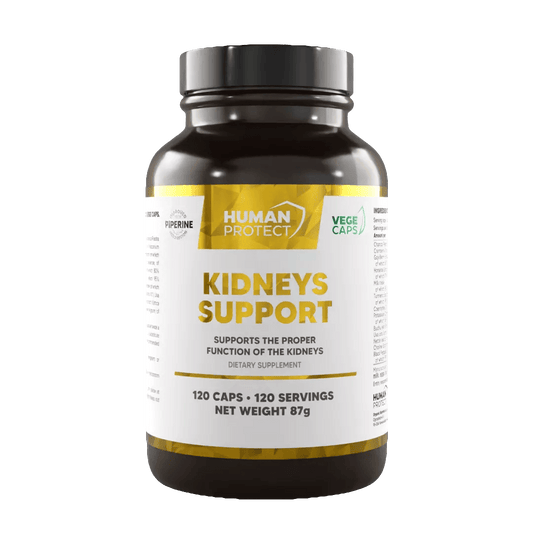 Kidneys Support 120 Kaps. - trainings-booster.de